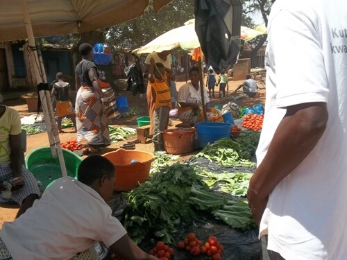 CFSC predicts tough economic condition for Malawi ahead of post harvest