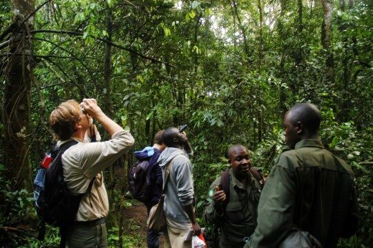 Mitigating poverty in developing countries through tourism
