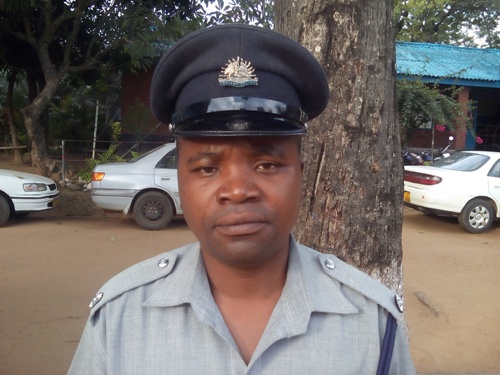Falling tree kills charcoal burner in Mwanza; police caution against illegal cutting of trees 