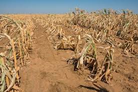 Africa is squandering its potential, IFAD president tells House of Lords