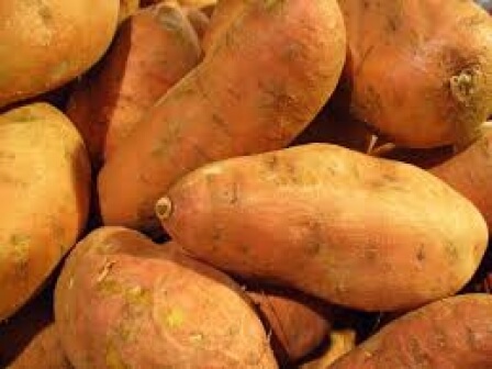 Malawi: Sweet potatoe business booms in Ntchisi