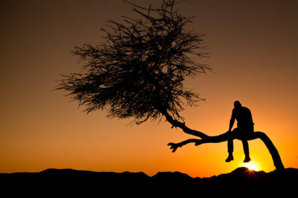 African Dreams
