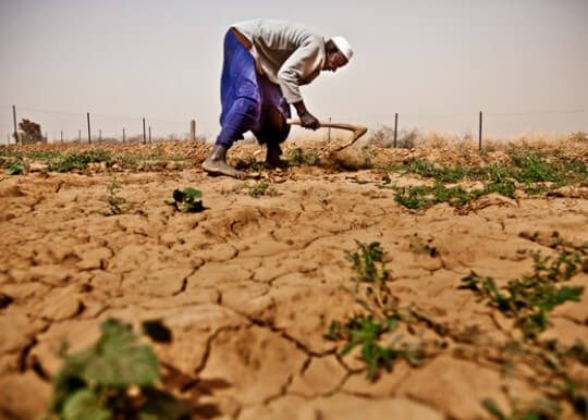 Over 41.4 million people are food insecure with 21 million people requiring immediate assistance in Southern Africa