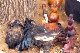 UNESCO launches witchcraft Degree program in Zambia