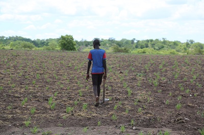 Children out of school and at work as hunger deepens in Southern Africa, finds report