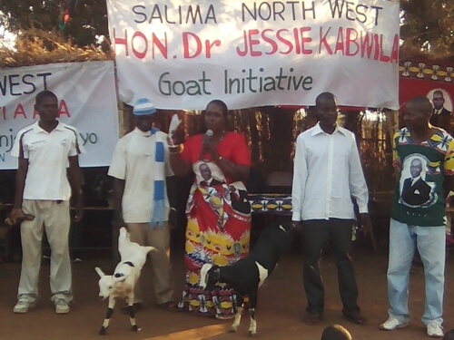 Lawmaker Jessie Kabwira starts distributing goats to her constituents