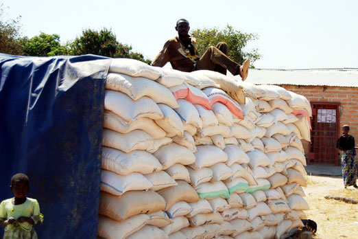 Malawi’s maize price up 18%-IFPRI report