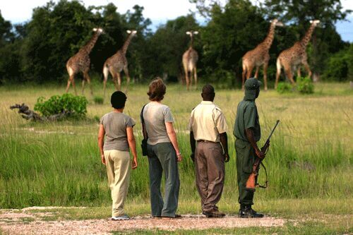 Look at the best things to do across Africa