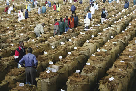AHL Group launches Funsawekha machine for tobacco farmers