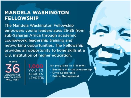 Young succesful african ‘Mandela Washington Fellows’ meeting in Washing Dc this week