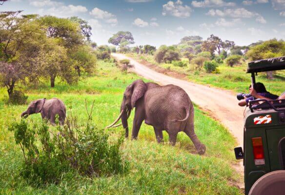 Malawi becomes 2018 hottest tourism destination-Minister Mussa