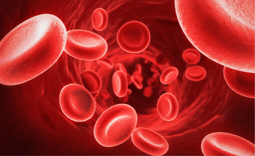 Red alert! 16 die after Dedza Hospital runs out of blood