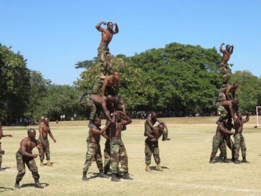 Malawi Judiciary under fire for aiding forest depletion