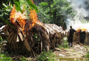 Civilians burnt alive as Mozambican soldiers run rampant in their fight against Renamo