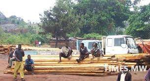 Ownership wrangle ensues over Malawi’s Chikangawa Forest
