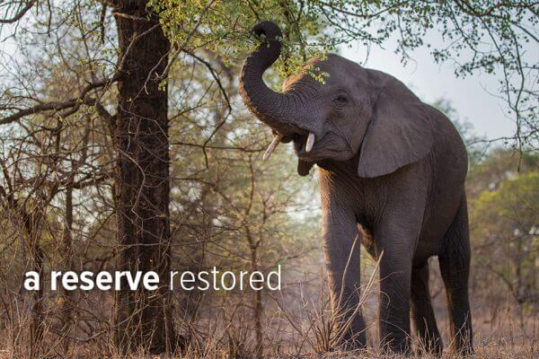 Majete: A Malawi Tourist Game Reserve Restored