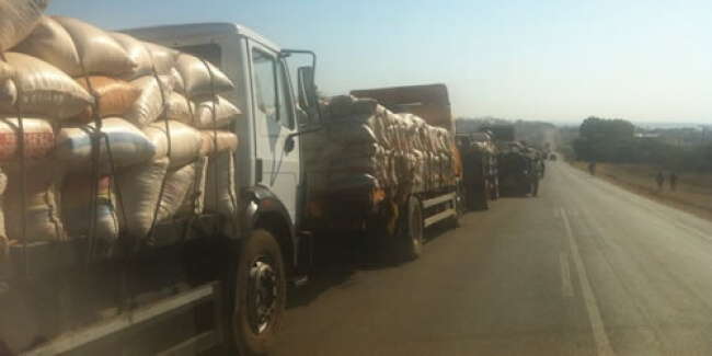 Malawi parliamentary committee leaving no stone unturned in Zambia: Maize deal draws in Trans Globe