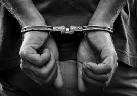 Three in for illegal possession of live Pangolin