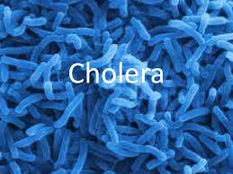Malawi cholera situation is not epidemic-Minister