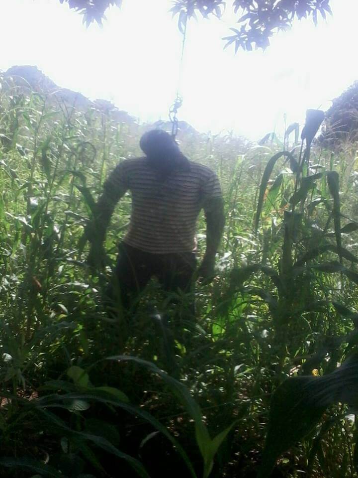 Missing police officer Gama found dead in Maize field