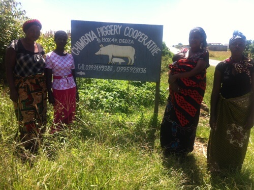 Sustainability when a project has closed: Case of Chimbiya Piggery Cooperative in Malawi’s Dedza district