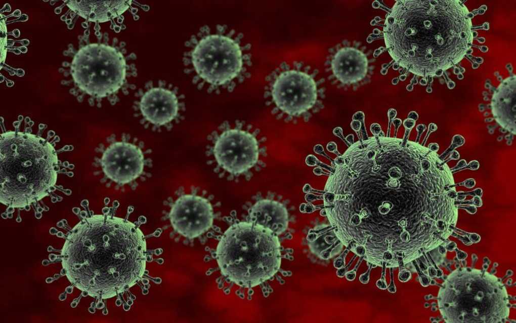 Malawi Gov.t alerts citizens on bird flu scare: reviewing national preparedness response