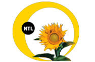Sigh of relief: National Audit clears “Ndi Tsogolo Langa” over MK2.4 billion fraud, faults TEVETA management for monitoring incompetency