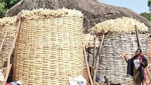 MET predicts normal rainfall for Malawi 2017/18 rain season