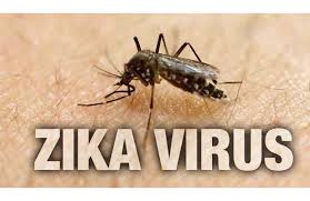 World Bank worried with inadequate preps against Zika and Ebola; only 37 countries completed assessment