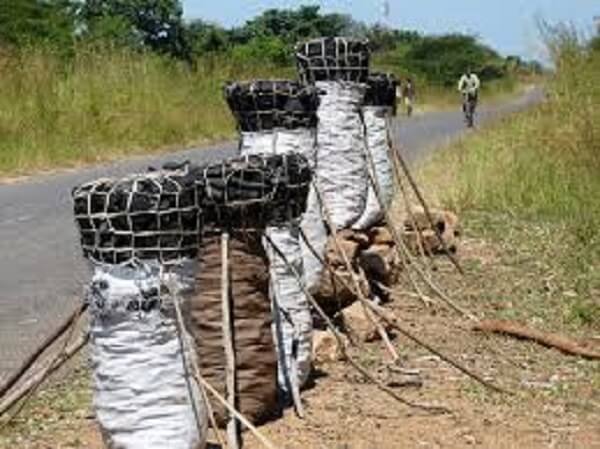 Malawi Police officer convicted for illegal possession of charcoal