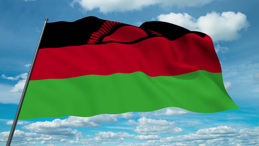 Tête-à-tête between Malawi Government and the US-based Diaspora scheduled; Mw associations working with Gov on planning