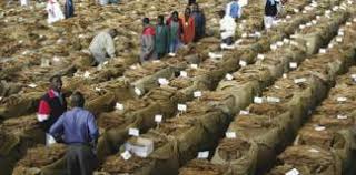 Economic expert Kalua cautions Malawi Govt on tobacco proceeds expenditure