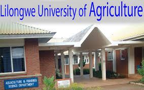 LUANAR asked to embrace media to disseminate innovations that address food security