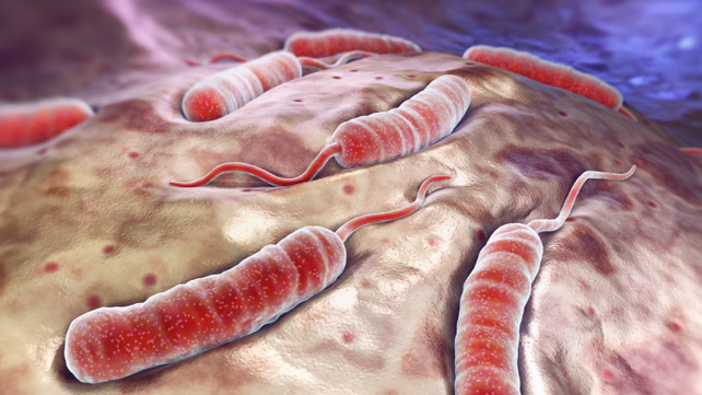 Malawi: Cholera hit Chikwawa district, 36 cases registered