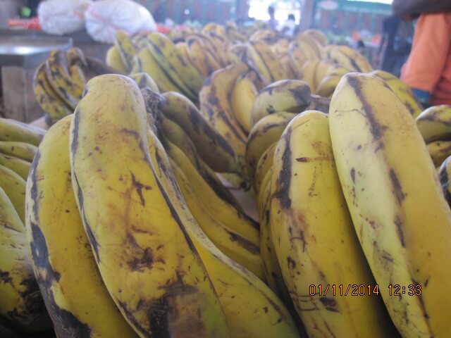 Community resistance threatens Banana restoration exercise in Thyolo