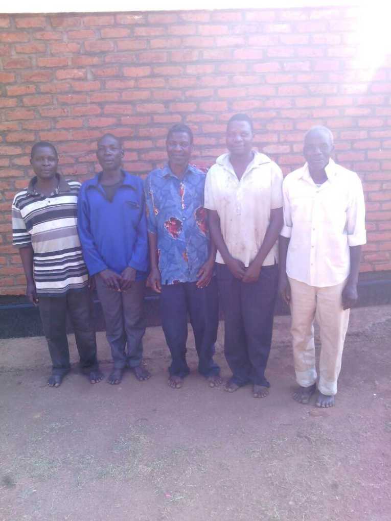 Court punishes 5 traditional leaders for cultivating in forest