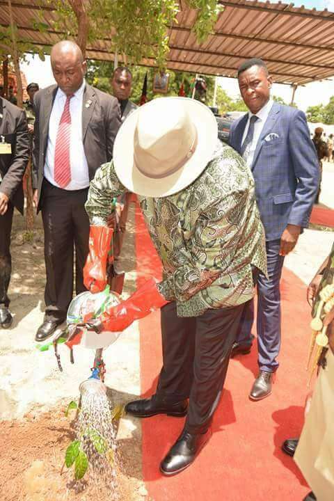President Mutharika launches tree planting season
