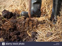 Environmental Close Up on Sunday; Turning waste into fertiliser