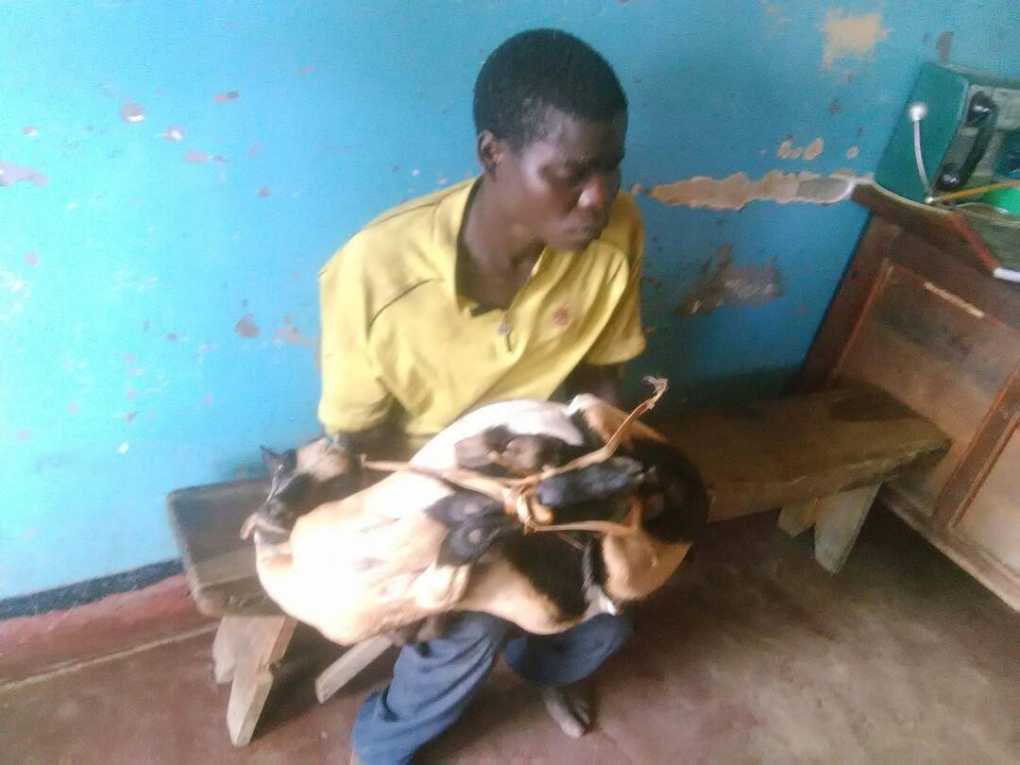 Nyau dancer arrested for stealing goat in Chikwawa