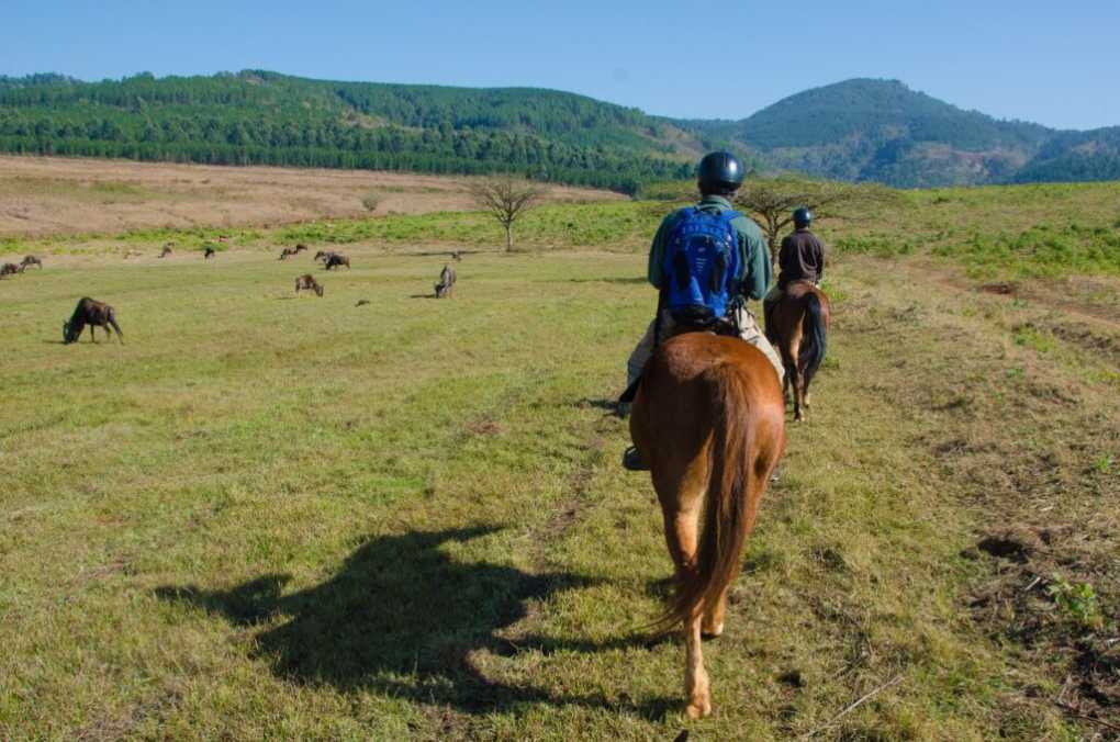 Swaziland Toourism