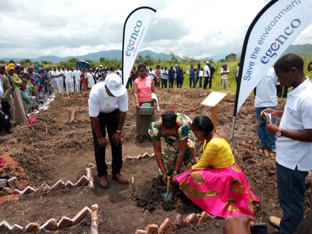 Egenco embarks on Tree planting exercise