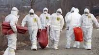 North, South Korea report flu outbreaks ahead of Winter Olympics