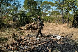 Environmental Close Up on Sunday: Efforts to tackle Dzalanyama degradation