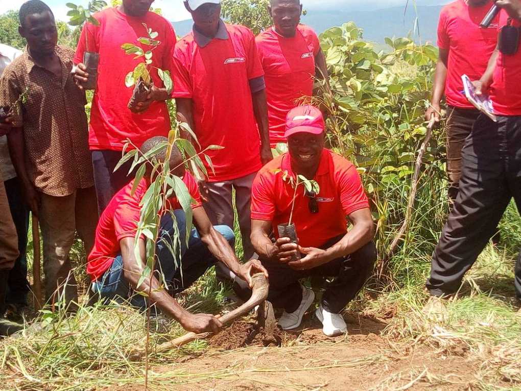 Puma Energy against Charcoal burning