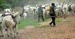 Herdsmen Killings: Faulting Buhari’s Management of Security Challenges