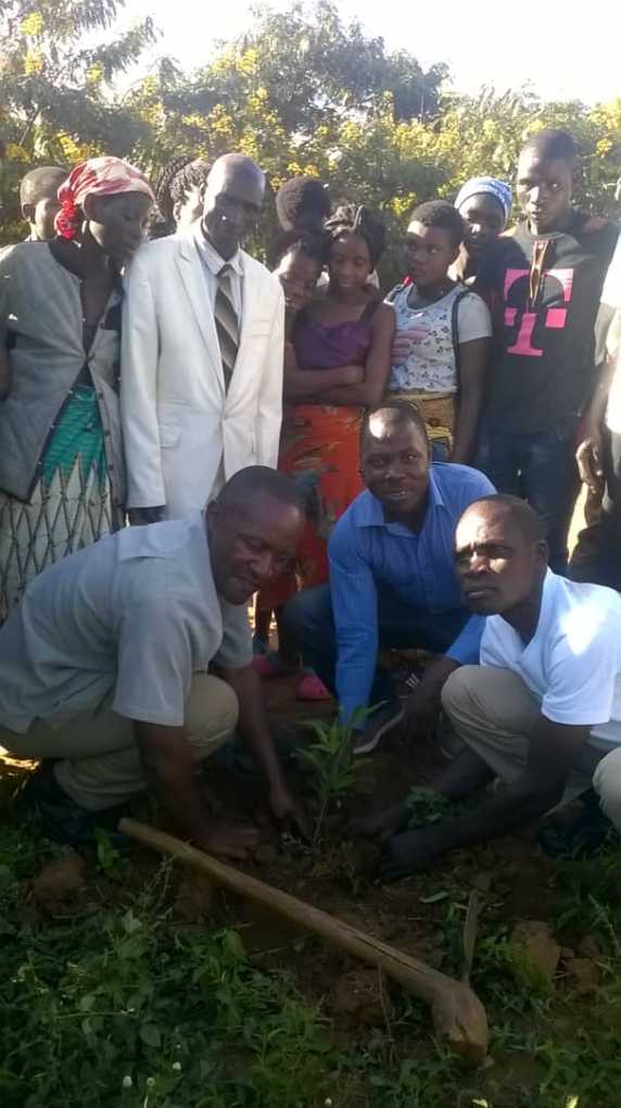 Lilongwe High dresses Nsinja and Mbalame primary schools with green