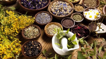 Malawi: Herbal, traditional Medicine poses potential harm