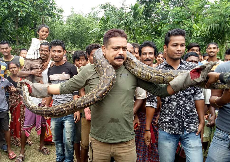 Indian forest range who captured 18ft python nearly strangled while posing for photos