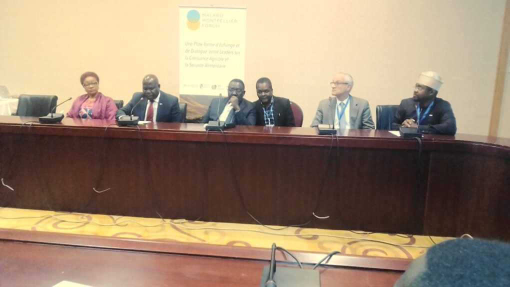 Malabo Montpellier for entire Africa agriculture mechanisation by 2025