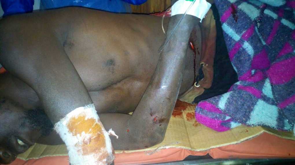 Zambian stray Lion ransacks  Chitipa; injures three residents…..kills six cattle,